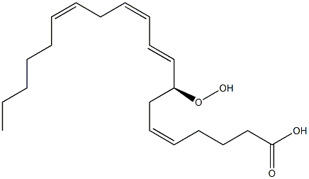 (5Z,8S,9E,11Z,14Z)-8-hydroperoxyicosa-5,9,11,14-tetraenoic acid 구조식 이미지