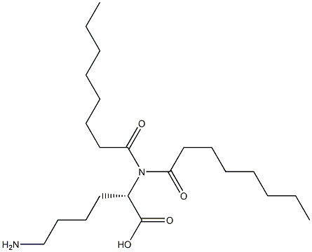 dioctanoyl lysine 구조식 이미지