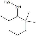 1-(2,2,6-trimethylcyclohexyl)hydrazine 구조식 이미지