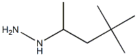 1-(4,4-dimethylpentan-2-yl)hydrazine 구조식 이미지