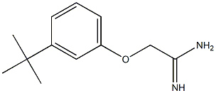 2-(3-tert-butylphenoxy)acetamidine 구조식 이미지
