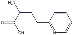 2-AMINO-4-(2-PYRIDINYL)BUTANOIC ACID 구조식 이미지