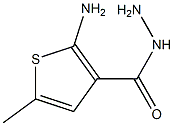 2-amino-5-methylthiophene-3-carbohydrazide Structure