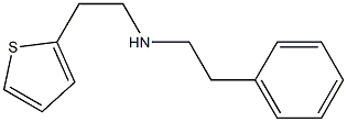 (2-phenylethyl)[2-(thiophen-2-yl)ethyl]amine 구조식 이미지