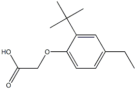 (2-tert-butyl-4-ethylphenoxy)acetic acid 구조식 이미지