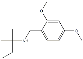 [(2,4-dimethoxyphenyl)methyl](2-methylbutan-2-yl)amine 구조식 이미지