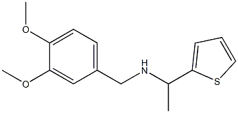 [(3,4-dimethoxyphenyl)methyl][1-(thiophen-2-yl)ethyl]amine Structure