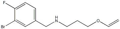 [(3-bromo-4-fluorophenyl)methyl][3-(ethenyloxy)propyl]amine 구조식 이미지