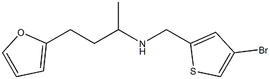 [(4-bromothiophen-2-yl)methyl][4-(furan-2-yl)butan-2-yl]amine 구조식 이미지