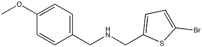 [(5-bromothiophen-2-yl)methyl][(4-methoxyphenyl)methyl]amine Structure