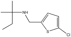 [(5-chlorothiophen-2-yl)methyl](2-methylbutan-2-yl)amine 구조식 이미지