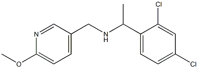 [1-(2,4-dichlorophenyl)ethyl][(6-methoxypyridin-3-yl)methyl]amine Structure