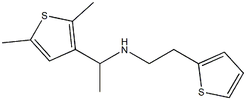 [1-(2,5-dimethylthiophen-3-yl)ethyl][2-(thiophen-2-yl)ethyl]amine Structure