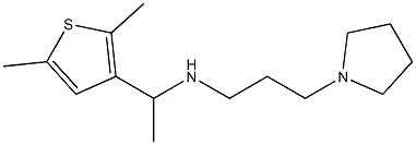 [1-(2,5-dimethylthiophen-3-yl)ethyl][3-(pyrrolidin-1-yl)propyl]amine 구조식 이미지