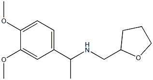 [1-(3,4-dimethoxyphenyl)ethyl](oxolan-2-ylmethyl)amine Structure