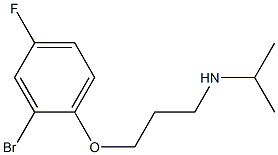[3-(2-bromo-4-fluorophenoxy)propyl](propan-2-yl)amine Structure