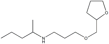 [3-(oxolan-2-ylmethoxy)propyl](pentan-2-yl)amine Structure