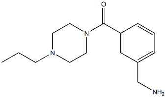 {3-[(4-propylpiperazin-1-yl)carbonyl]phenyl}methanamine Structure