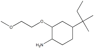 2-(2-methoxyethoxy)-4-(2-methylbutan-2-yl)cyclohexan-1-amine Structure