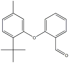 2-(2-tert-butyl-5-methylphenoxy)benzaldehyde 구조식 이미지