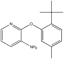 2-(2-tert-butyl-5-methylphenoxy)pyridin-3-amine 구조식 이미지