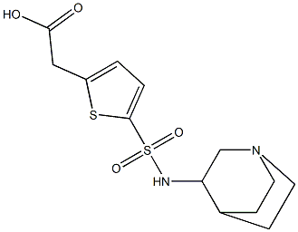 2-(5-{1-azabicyclo[2.2.2]octan-3-ylsulfamoyl}thiophen-2-yl)acetic acid 구조식 이미지