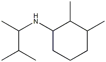 2,3-dimethyl-N-(3-methylbutan-2-yl)cyclohexan-1-amine 구조식 이미지