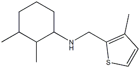 2,3-dimethyl-N-[(3-methylthiophen-2-yl)methyl]cyclohexan-1-amine 구조식 이미지