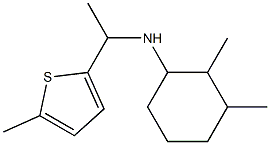 2,3-dimethyl-N-[1-(5-methylthiophen-2-yl)ethyl]cyclohexan-1-amine 구조식 이미지