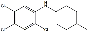 2,4,5-trichloro-N-(4-methylcyclohexyl)aniline Structure