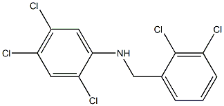 2,4,5-trichloro-N-[(2,3-dichlorophenyl)methyl]aniline Structure