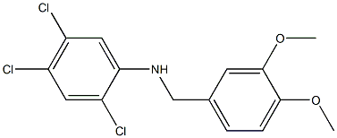 2,4,5-trichloro-N-[(3,4-dimethoxyphenyl)methyl]aniline Structure