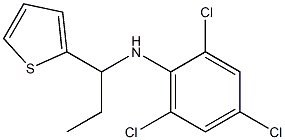 2,4,6-trichloro-N-[1-(thiophen-2-yl)propyl]aniline 구조식 이미지