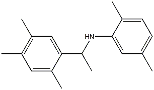 2,5-dimethyl-N-[1-(2,4,5-trimethylphenyl)ethyl]aniline Structure