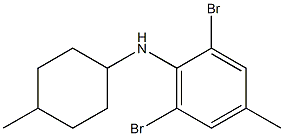 2,6-dibromo-4-methyl-N-(4-methylcyclohexyl)aniline 구조식 이미지