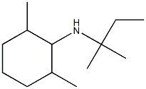 2,6-dimethyl-N-(2-methylbutan-2-yl)cyclohexan-1-amine 구조식 이미지