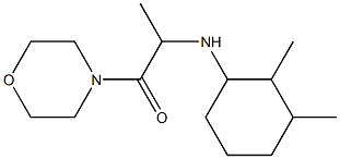 2-[(2,3-dimethylcyclohexyl)amino]-1-(morpholin-4-yl)propan-1-one 구조식 이미지