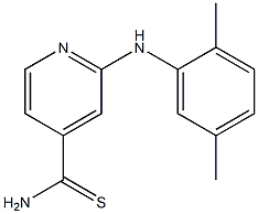 2-[(2,5-dimethylphenyl)amino]pyridine-4-carbothioamide Structure