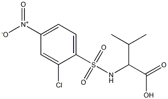 2-[(2-chloro-4-nitrobenzene)sulfonamido]-3-methylbutanoic acid 구조식 이미지