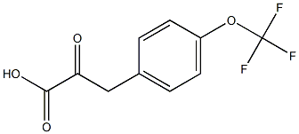 2-oxo-3-[4-(trifluoromethoxy)phenyl]propanoic acid 구조식 이미지