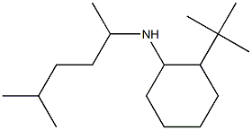 2-tert-butyl-N-(5-methylhexan-2-yl)cyclohexan-1-amine 구조식 이미지