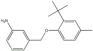 3-(2-tert-butyl-4-methylphenoxymethyl)aniline Structure
