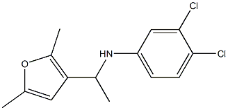 3,4-dichloro-N-[1-(2,5-dimethylfuran-3-yl)ethyl]aniline Structure