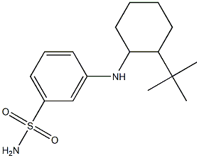3-[(2-tert-butylcyclohexyl)amino]benzene-1-sulfonamide Structure