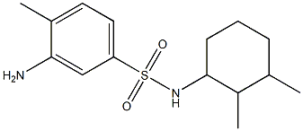 3-amino-N-(2,3-dimethylcyclohexyl)-4-methylbenzene-1-sulfonamide 구조식 이미지