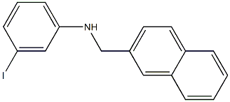 3-iodo-N-(naphthalen-2-ylmethyl)aniline Structure