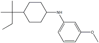 3-methoxy-N-[4-(2-methylbutan-2-yl)cyclohexyl]aniline 구조식 이미지