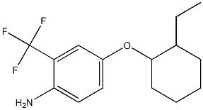 4-[(2-ethylcyclohexyl)oxy]-2-(trifluoromethyl)aniline 구조식 이미지