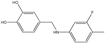 4-{[(3-fluoro-4-methylphenyl)amino]methyl}benzene-1,2-diol 구조식 이미지