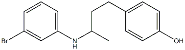 4-{3-[(3-bromophenyl)amino]butyl}phenol Structure